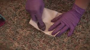 cách làm thảm trải sàn luôn tươi mới